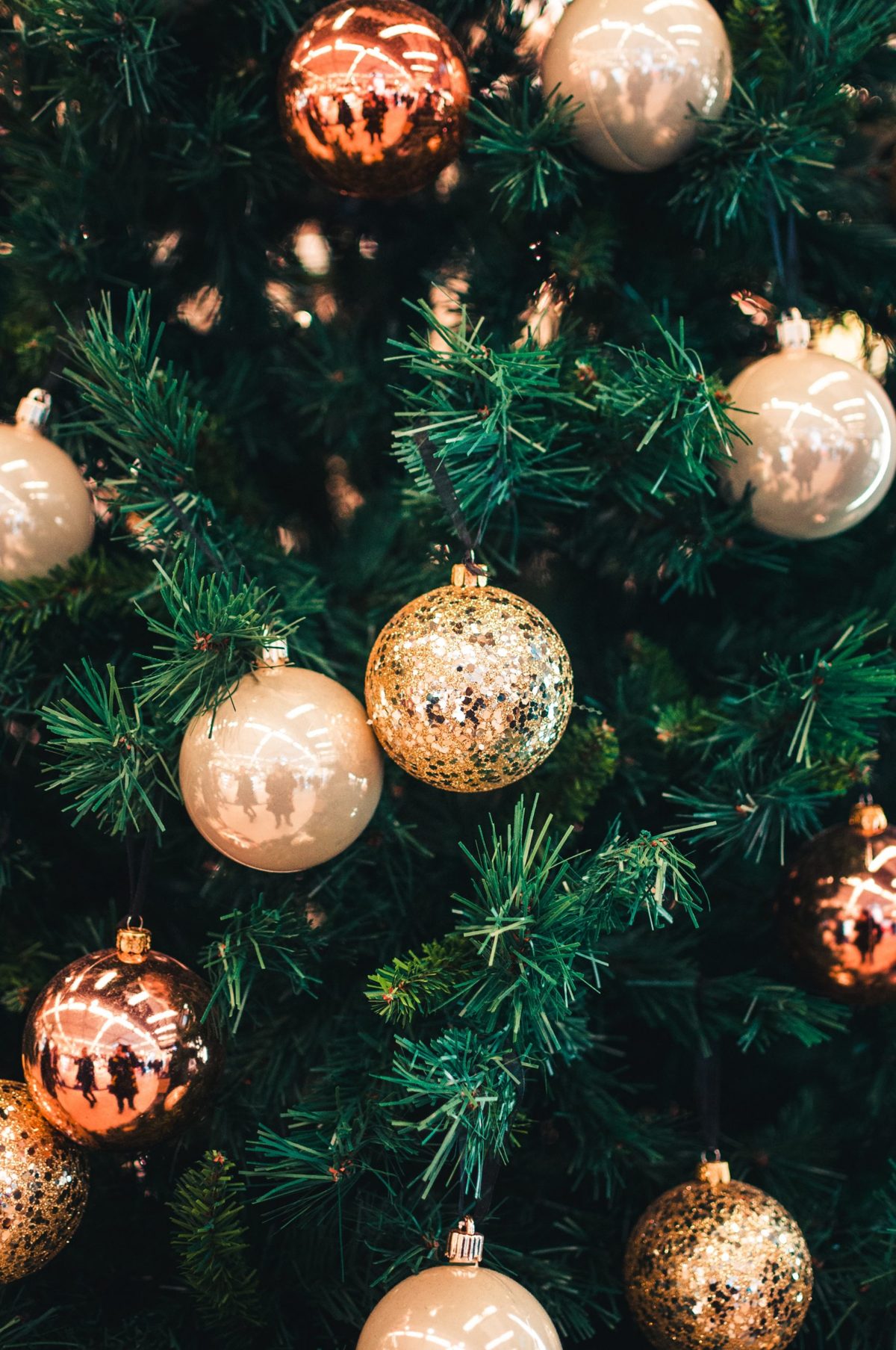 'Tis the Season for Forgiveness