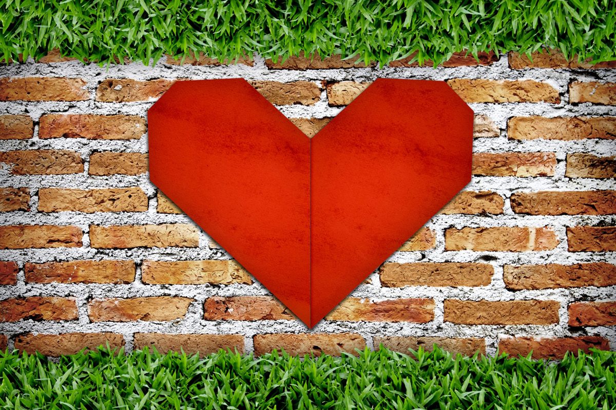 Real Life Stories of Heart-Wall Release