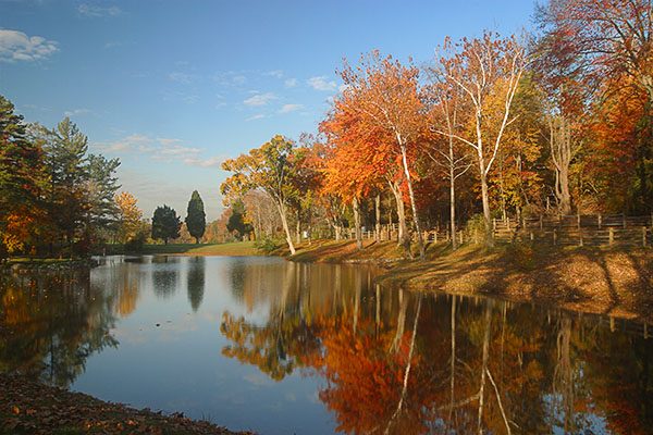 5 Ways to Turn Seasonal Sad Into Seasonal Glad