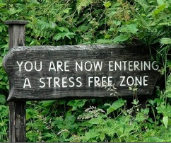 Stress-Proof Your Health